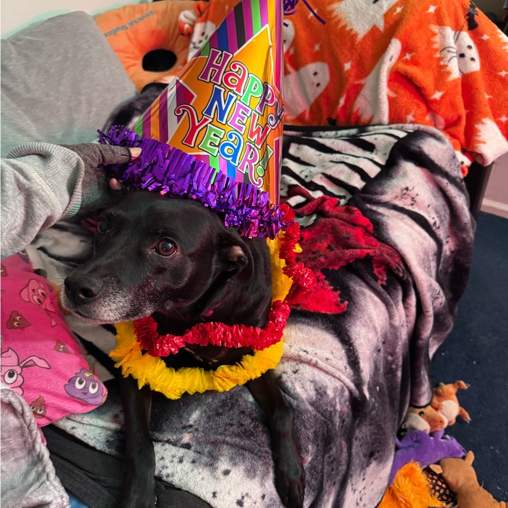 Happy New Year!!!🎆🎊🥳
